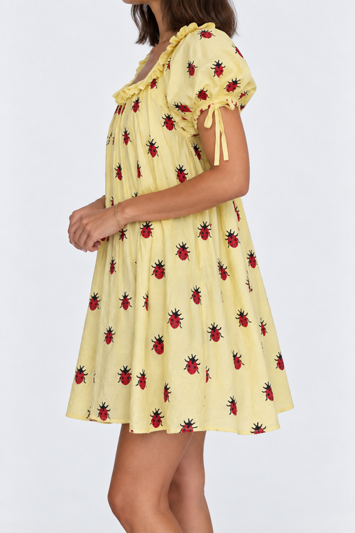 Ladybug Picnic Dress
