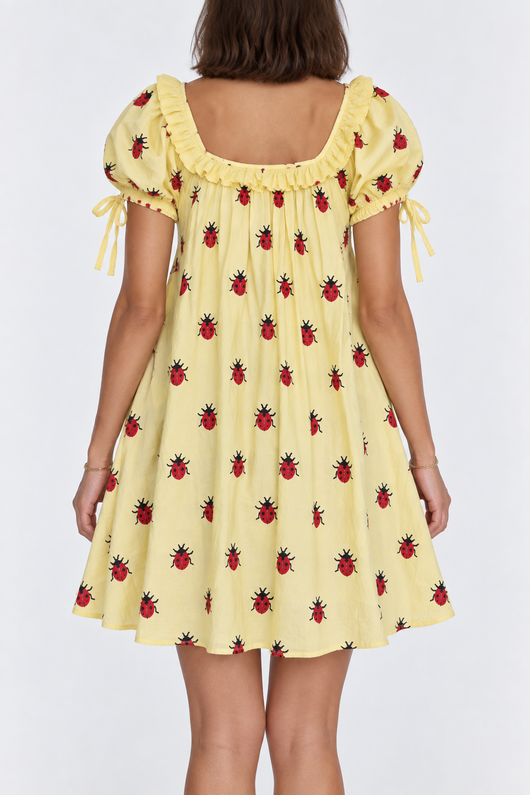 Ladybug Picnic Dress