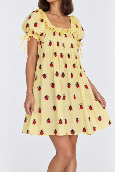 Ladybug Picnic Dress