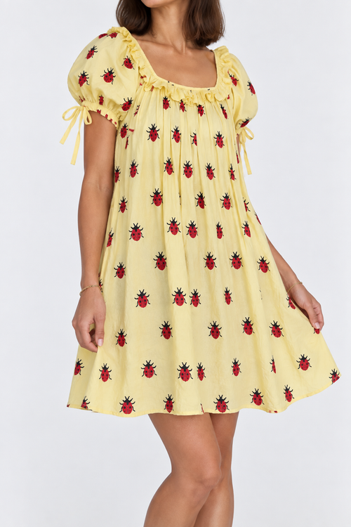 Ladybug Picnic Dress