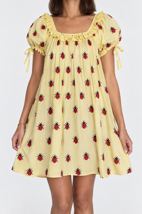 Ladybug Picnic Dress